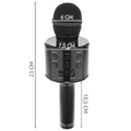 pol_pm_Mikrofon-karaoke-czarny-Izoxis-22189-16803_10.jpg