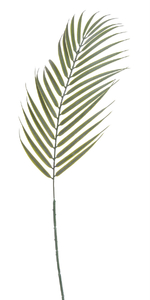 liść palmy 12szt. 70cm  | B-07280