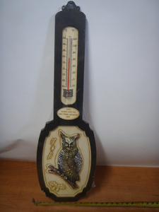 termometr SOWA NR79