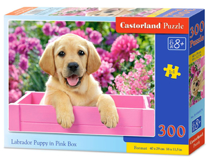 puzzle 300 el. Labrador puppy in pink box Castorland