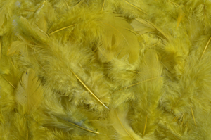 pierze naturalne barwione oliwkowy 7-12cm 10g | HM0003_398
