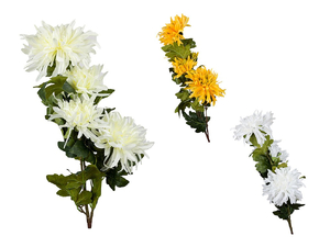 kwiat chryzantema 5 gałązek biel, ecru, żółta 105cm