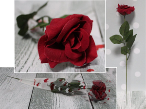 róża 20szt  rozwinięta w rożku foliowym 40 cm  VAB-18091
