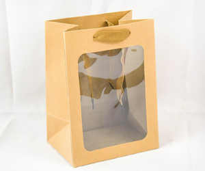 torba papierowa eko 12szt. 20x30cm | 0568