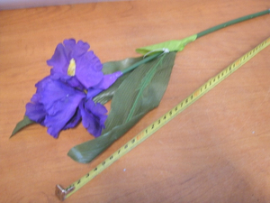 kwiat IRYS 50cm PS19