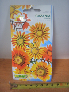 nasiona GAZANIA 0,5g TF1755