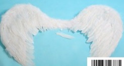 skrzydła anioła 67x57cm
