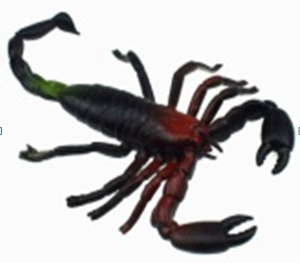 skorpion 12szt. |  NT6634