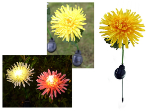 lampka 2szt  solarna kwiat led - CHRYZANTEMA 40 cm NT2157